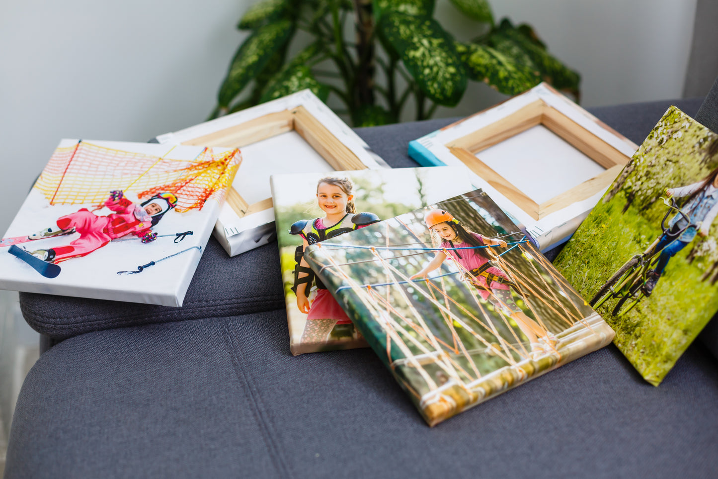 Collection of canvas photo prints on a surface with a plant in the background