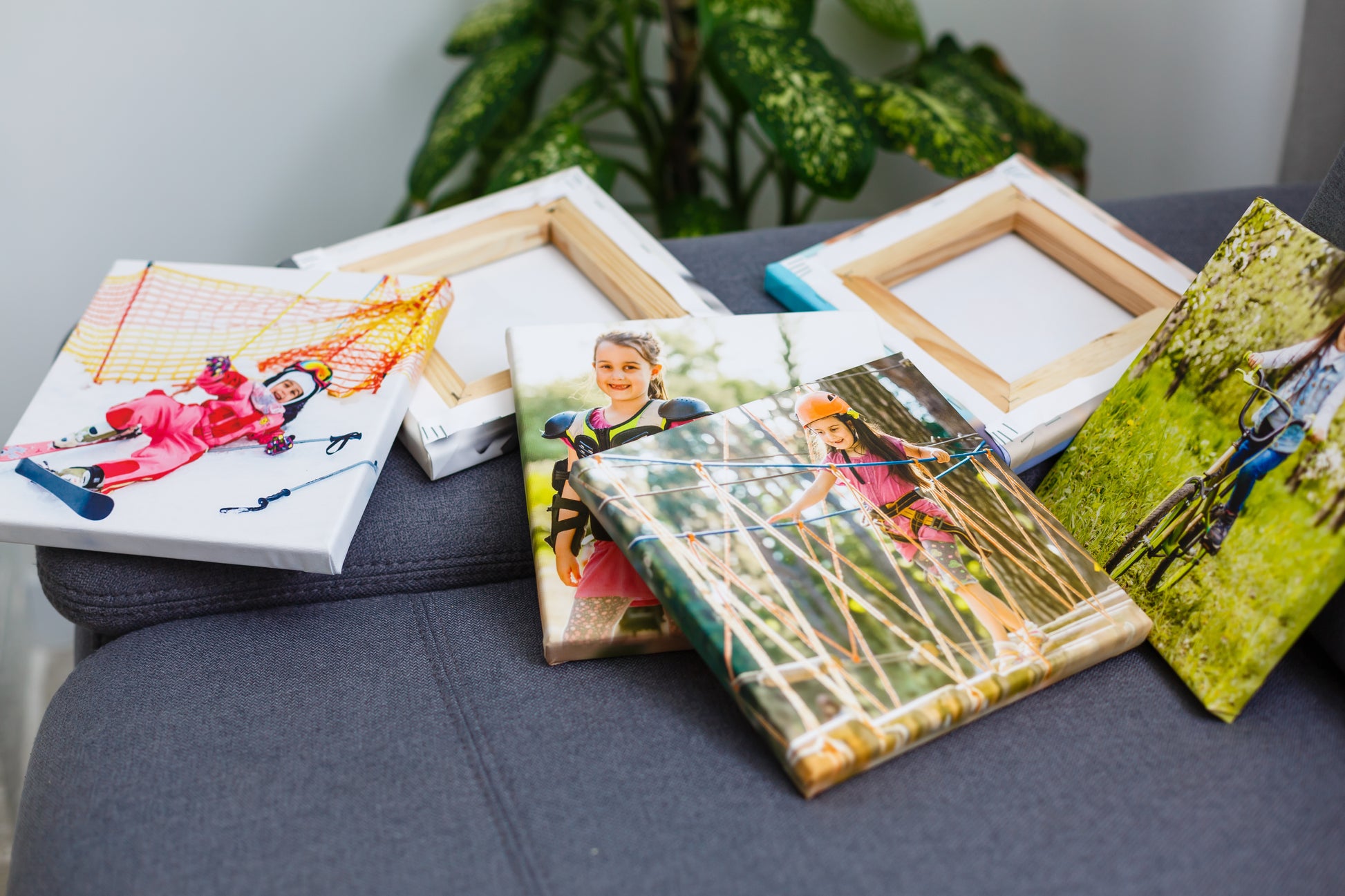 Collection of canvas photo prints on a surface with a plant in the background